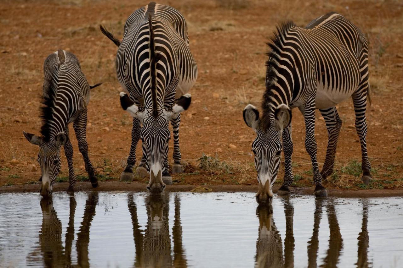 Samburu Sopa Lodge Archers Post 외부 사진